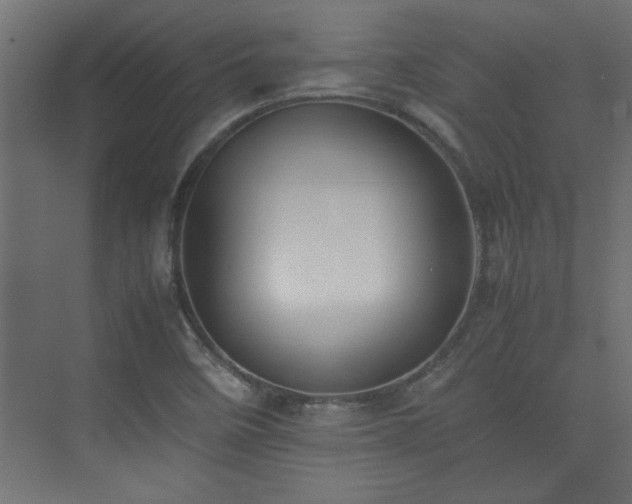 X0000074031458200608211440