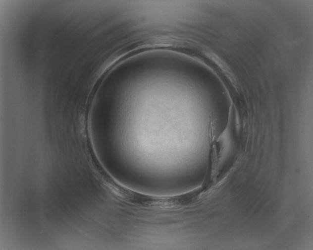 X0000074031465200608211440
