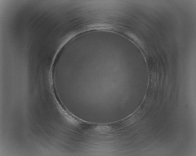 X0000074031466200608211440