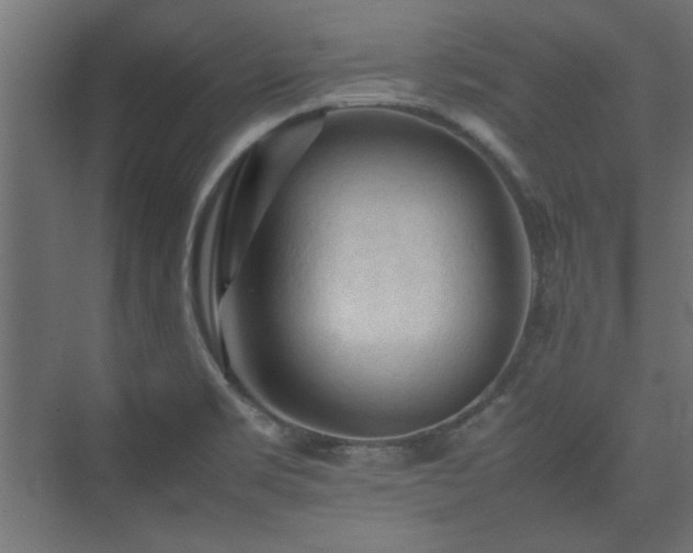 X0000074031469200608211440
