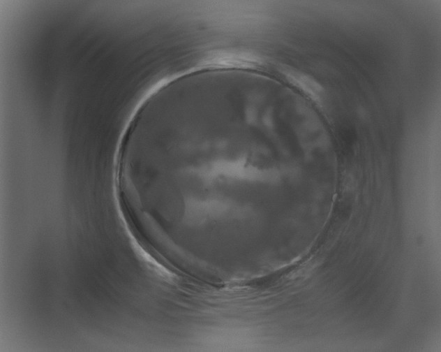 X0000074031471200608211440