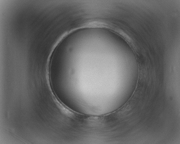 X0000074031478200608211439