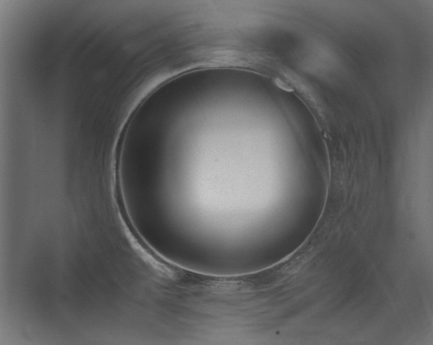 X0000074031479200608211439