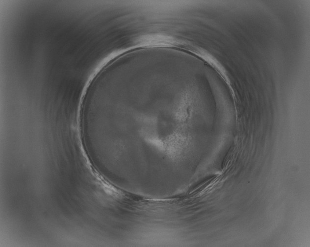 X0000074031488200608211439