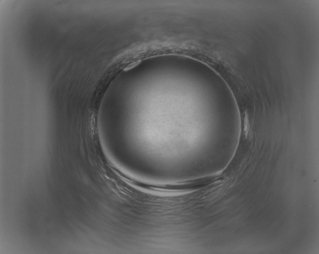 X0000074031492200608211439