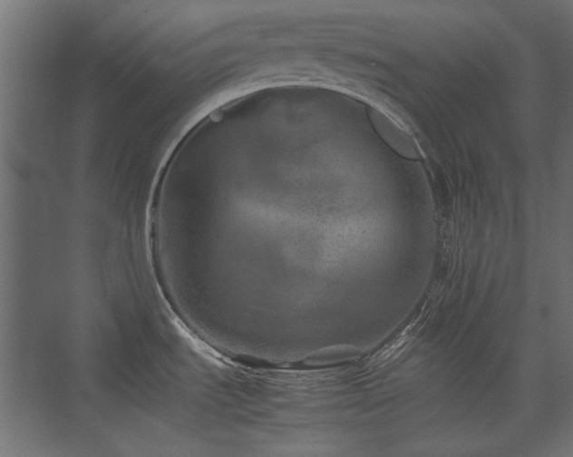 X0000074031535200608211439