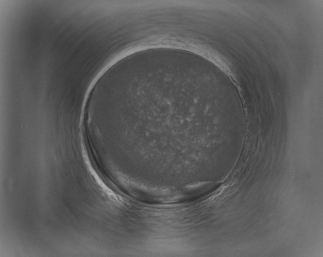 X0000074031536200608211439