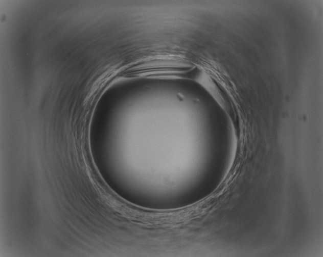 X0000074030001200608281431