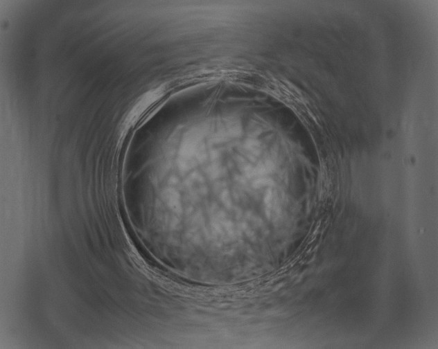 X0000074030003200608281431