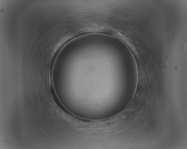 X0000074030011200608281431