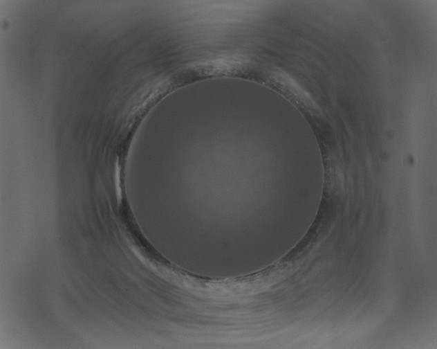 X0000074030022200608281431