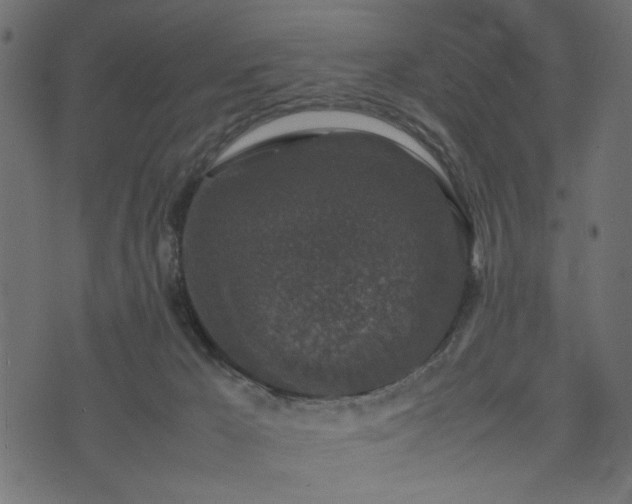 X0000074030029200608281431