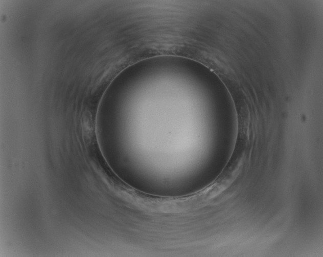 X0000074030040200608281431