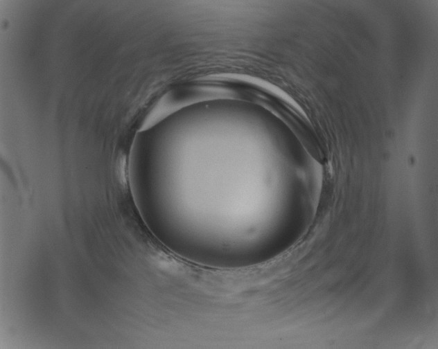 X0000074030041200608281431
