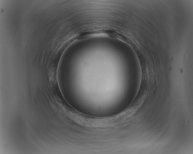 X0000074030044200608281431