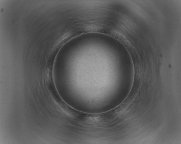X0000074030071200608281430