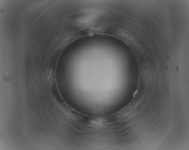 X0000074030079200608281430