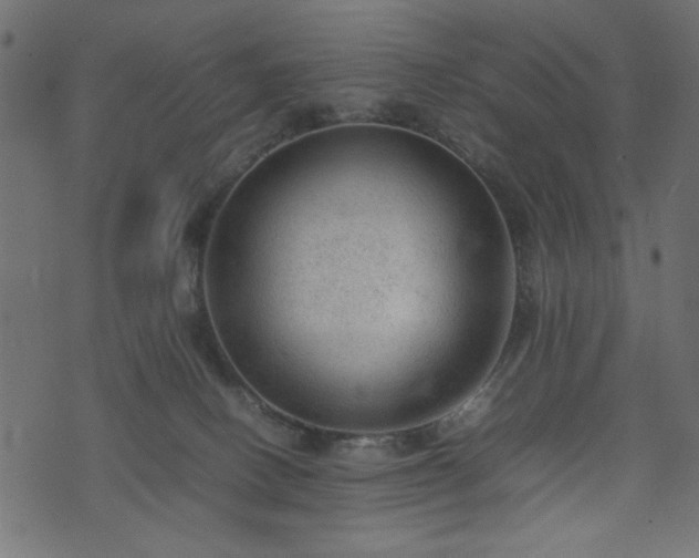 X0000074030082200608281430