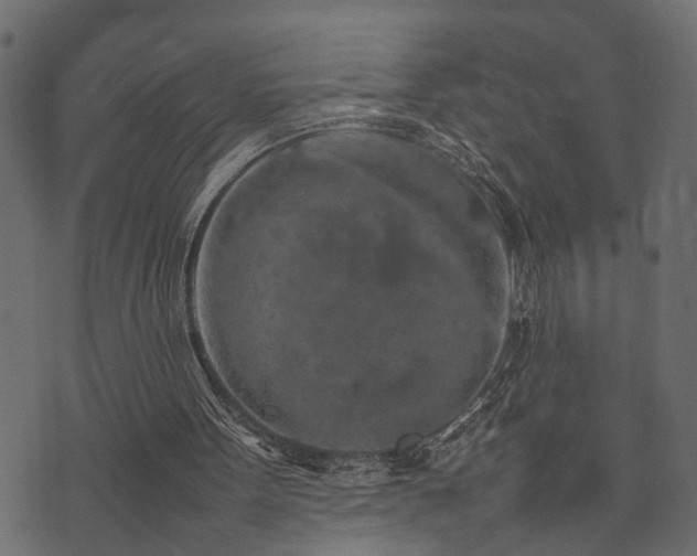X0000074030099200608281430