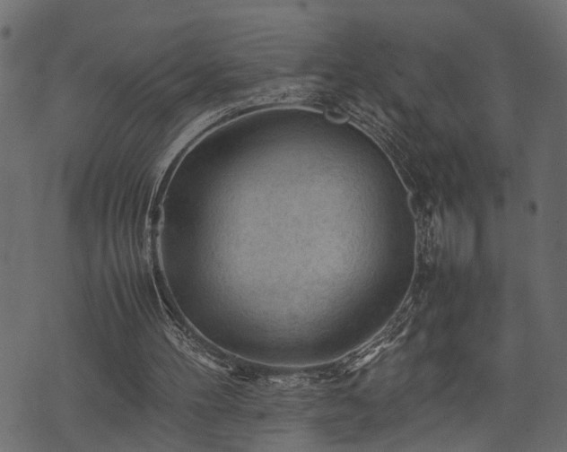 X0000074030100200608281430