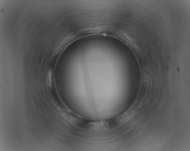 X0000074030118200608281429