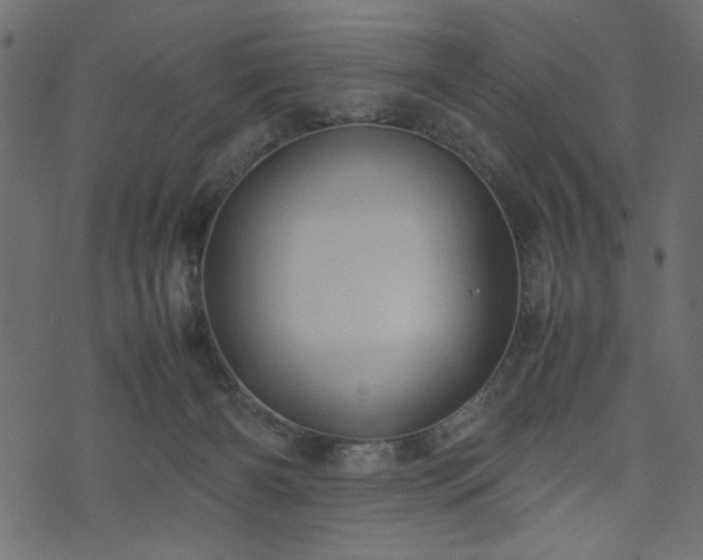 X0000074030126200608281429
