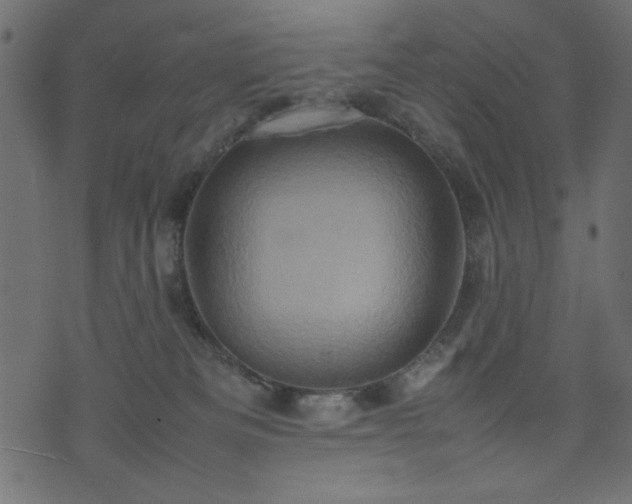 X0000074030133200608281429