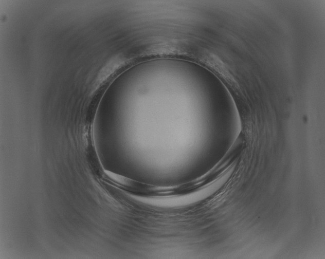 X0000074030160200608281428
