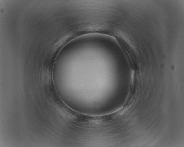X0000074030164200608281428
