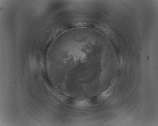X0000074030175200608281429