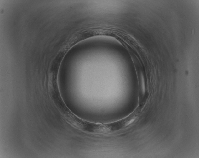 X0000074030217200608281428