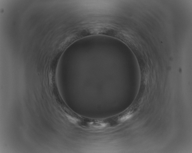 X0000074030219200608281428