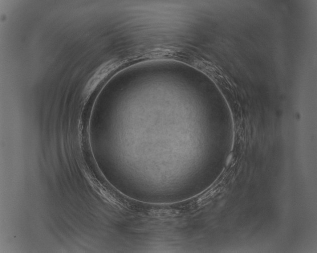 X0000074030242200608281427