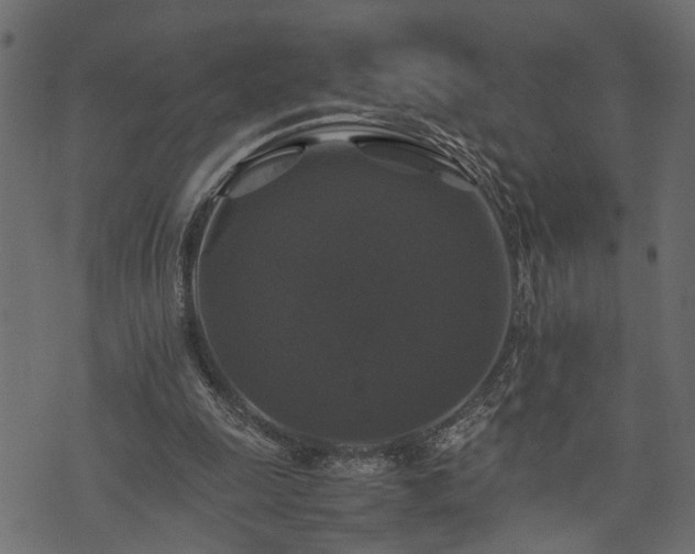X0000074030247200608281427
