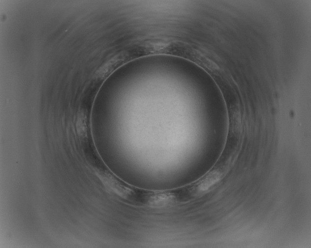 X0000074030274200608281427