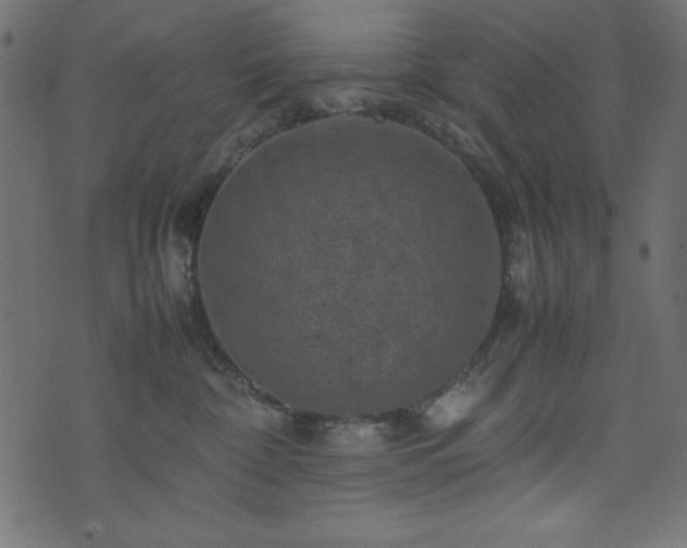 X0000074030332200608281426