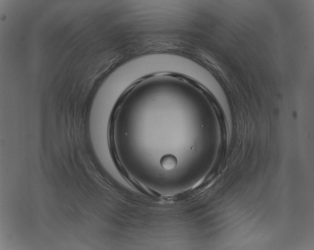 X0000074030362200608281425