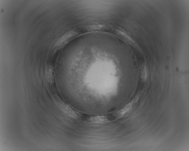 X0000074030378200608281426