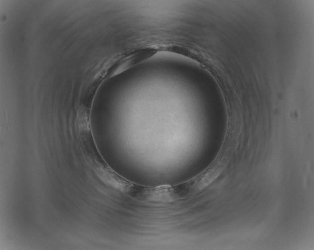 X0000074030384200608281426