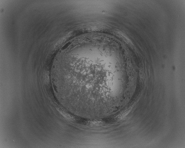 X0000074030401200608281425