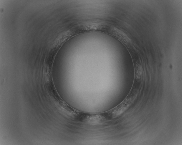 X0000074030414200608281424