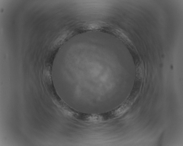 X0000074030415200608281424