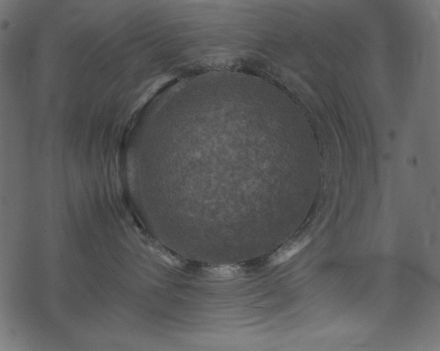 X0000074030432200608281424