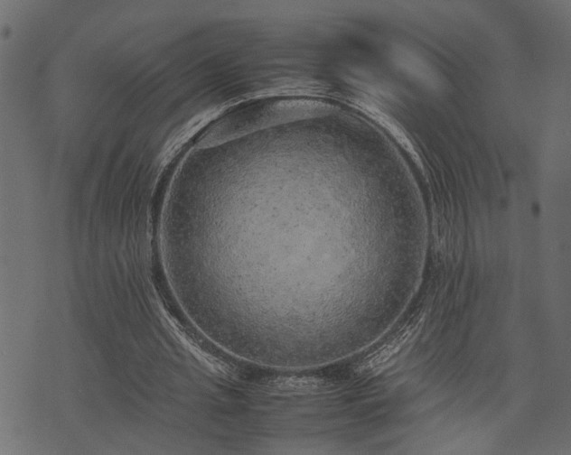 X0000074030437200608281423