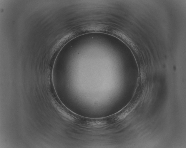 X0000074030445200608281424