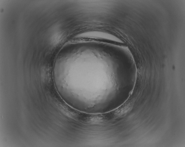 X0000074030462200608281424