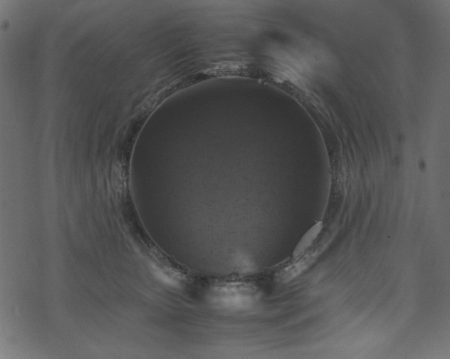 X0000074030467200608281424