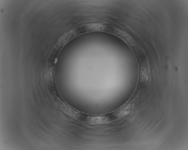 X0000074030473200608281424