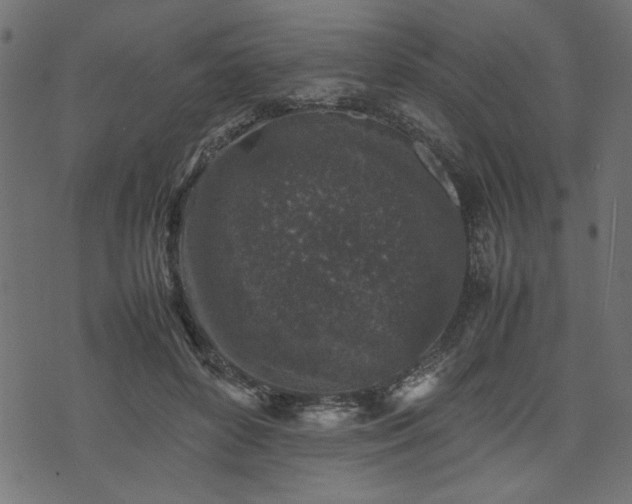 X0000074030504200608281423