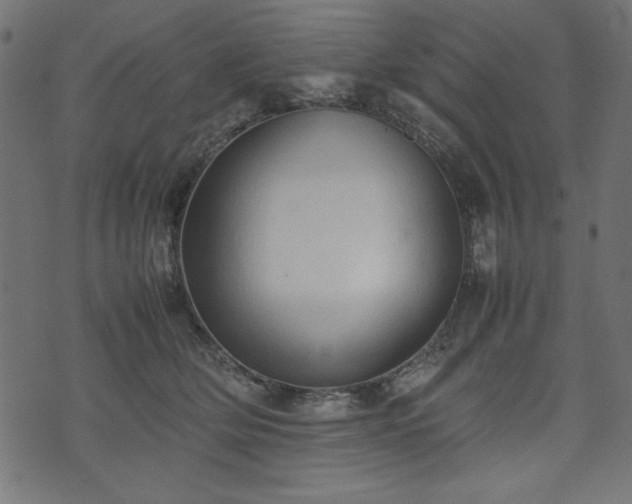 X0000074030514200608281423